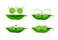 Two peas in a pod. Vector illustration Royalty Free Stock Photo