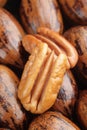 Two pecan halves on background