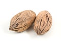Two pecan nuts on white background.