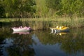 Two pedalo or Paddle Wheel Boat in the shape of dolphins in reeds of a lake Royalty Free Stock Photo