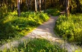 Two pedestrian alleys merged into one in the summer Park Royalty Free Stock Photo