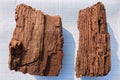 Two peices of wooden artefacts found during the archaeological excavations settled on the sheet of paper. Remains part of ancient