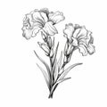 Black And White Iris Flowers: Graphic Outlines Inspired By Victorian Illustrations
