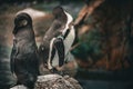 Two penguins cuddling Royalty Free Stock Photo