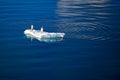 Two gentoo penguins - Pygoscelis papua - drifting on ice floe in sun in dark Southern Ocean at Neko Harbour, Antarctica Royalty Free Stock Photo