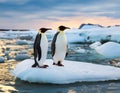 Two penguins stand on melting ice in Arctic Ocean global warming concept, world global plane Royalty Free Stock Photo