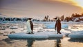 Two penguins stand on melting ice in Arctic Ocean global warming concept, world global plane Royalty Free Stock Photo