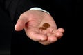 Two Pennies Worth Royalty Free Stock Photo