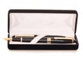 Two pens in a case Royalty Free Stock Photo