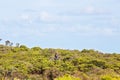 Two People Bush Walking Amongst Coastal Vegetation