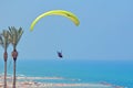 Two people fly on yellow paraglider in sky near palms above beach and city. Mediterranean Sea, Israel, balance, extreme sports Royalty Free Stock Photo