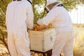 Two people harvesting honey in the garden