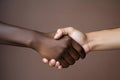 Two people, one African, one Caucasian, shaking hands.