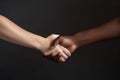 Two people, one African, one Caucasian, shaking hands.