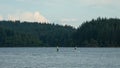 Two people paddle boarding on Loch Ard in the summer, Trossachs, Scotland Royalty Free Stock Photo