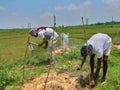 Two people plant a tree together outdoors and protect it with net