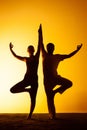 Two people practicing yoga in the sunset light Royalty Free Stock Photo