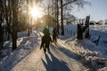 Two people riding horse in group nearby a farm in Oslo Norway. Low sun in winter Royalty Free Stock Photo