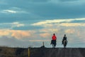 Two people riding two horses on the road on Iceland Royalty Free Stock Photo