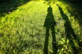 Two people`s shadows on the green grass. Fresh spring time. Summer holidays Royalty Free Stock Photo
