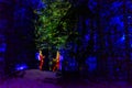 Vallea Lumina, the multimedia, interactive, outdoor night walk near Whistler, BC Royalty Free Stock Photo