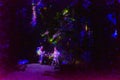 Vallea Lumina, the multimedia, interactive, outdoor night walk near Whistler, BC Royalty Free Stock Photo