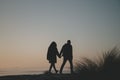 two people walk next to tall grasses at the beach at sunset Royalty Free Stock Photo