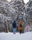 two people walking in the distance through a winter forest or park in white snow, a sunny day for walking Royalty Free Stock Photo