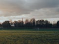 Two people walking dogs in the distance in an empty park in London, UK