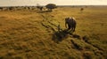 A Captivating Narrative: Elephant Encounter On A Serene Island Royalty Free Stock Photo