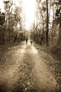 Two people walking in forest