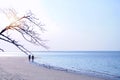 Two people walking on the white sand beach under the dried branches of die tree on blue sea sky and sunset background Royalty Free Stock Photo