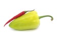 Two peppers Royalty Free Stock Photo