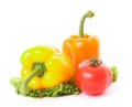 Two peppers and tomato on green salad Royalty Free Stock Photo