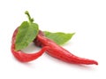 Two peppers. Royalty Free Stock Photo