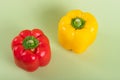 Two peppers Royalty Free Stock Photo