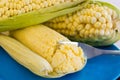 Two perfect corn with a delicious humita in a blue dish Royalty Free Stock Photo