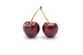 Two perfect fresh cherries on a white background Royalty Free Stock Photo