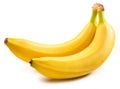 Two perfect ripe yellow bananas isolated on white background