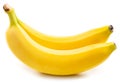 Two perfect ripe yellow bananas isolated on white background Royalty Free Stock Photo