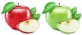 Two perfect same green and red apples fruit, slices and apple leaves isolated on white background Royalty Free Stock Photo