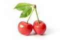 Two perfect sweet cherries with cherry leaf isolated on a white background Royalty Free Stock Photo