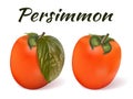 Two Persimmon Fruits2