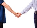 Two Persons Handshake Royalty Free Stock Photo