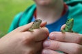 Two pet lizards being held by a child in his home Royalty Free Stock Photo