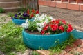 Two petunia flower beds made in old car tires next to house. Royalty Free Stock Photo