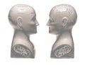 Two Phrenology heads facing each other on white background