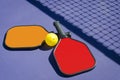 Two Pickleball Paddles and a pickleball on court with net shadow Royalty Free Stock Photo