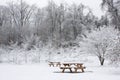 Two Picnic Benches in Snow Royalty Free Stock Photo