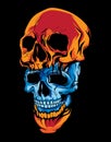 two piece of blue and orange skull head in dark background